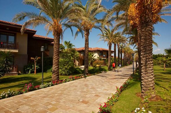 tui-blue-palm-garden-5